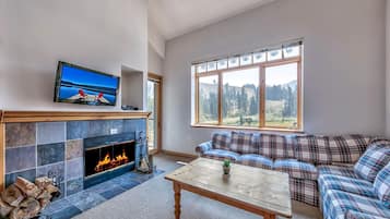 TV, fireplace, DVD player