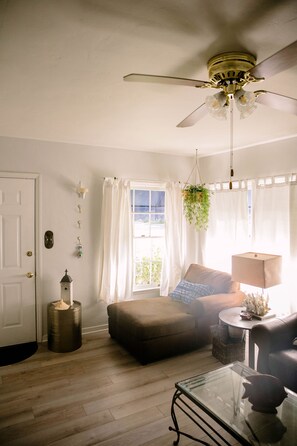 智能電視、電子遊戲、DVD 播放機、書籍