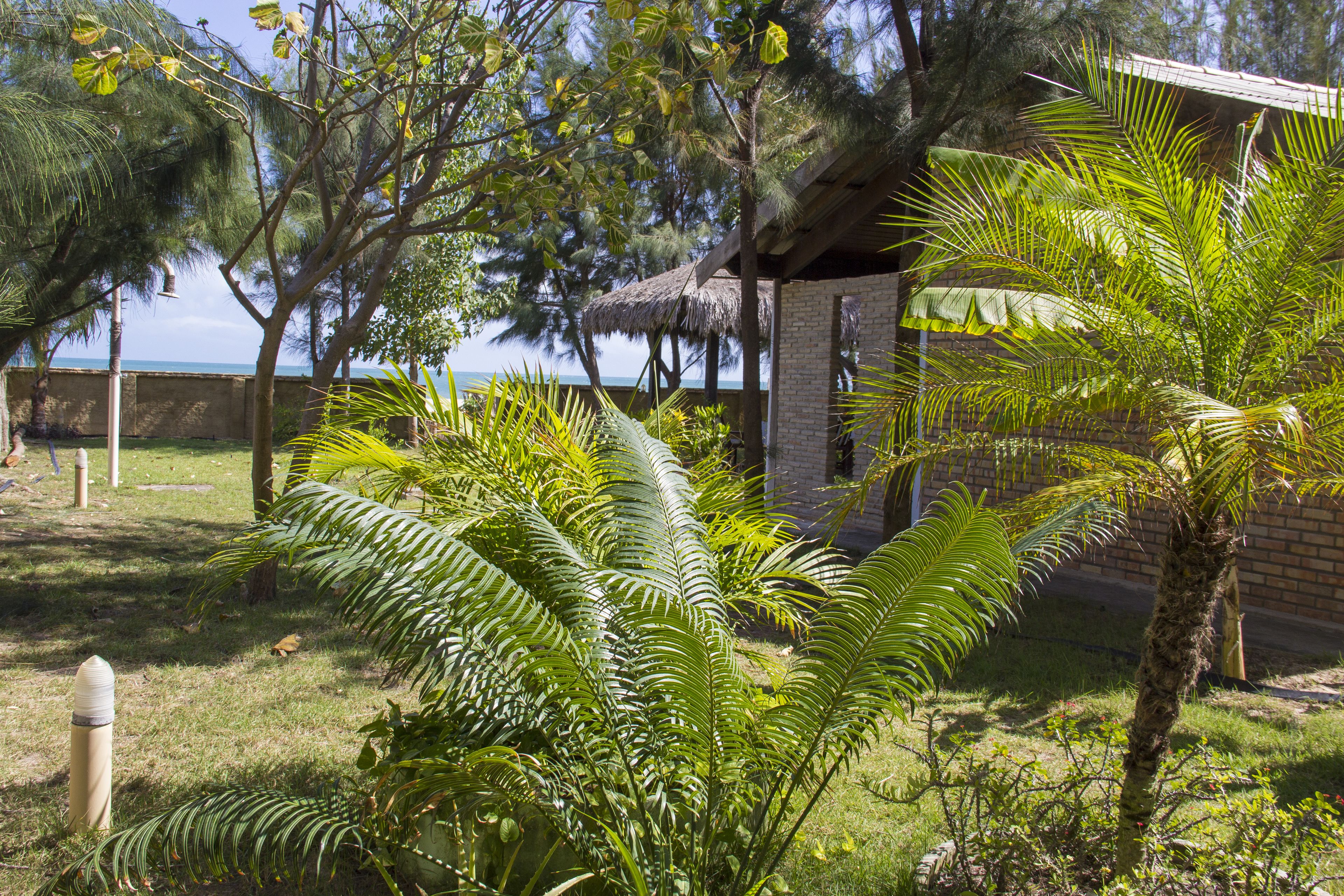 deluxe quadruple room, oceanfront | terrace/patio