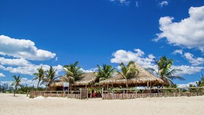 On the beach, free beach cabanas, beach bar