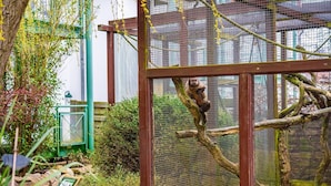 Un primate en un recinto naturalista con estructura de madera y barreras de malla, rodeado de rocas y vegetación.