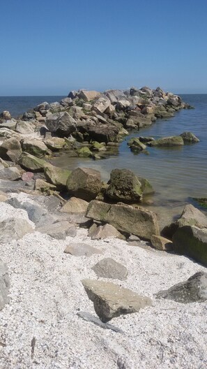 Ranta