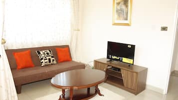 Televisor