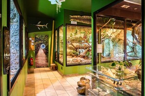 Nicht klassifiziertes Bild, 3 von 34, Schaltfläche