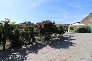 Un chemin pavé, recouvert de dalles hexagonales, bordé de petits arbres et d’arbustes.