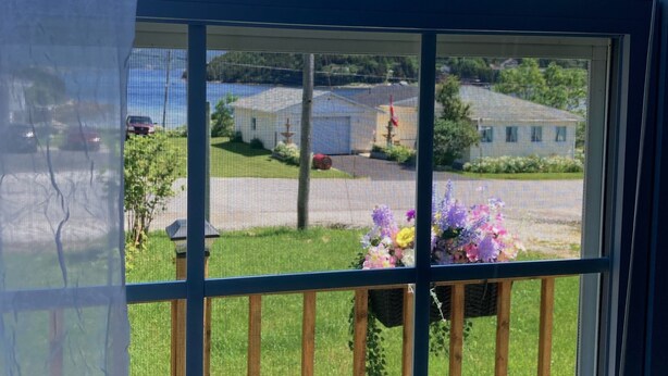 A window with a view of a parking lot and a grassy area with flowers.