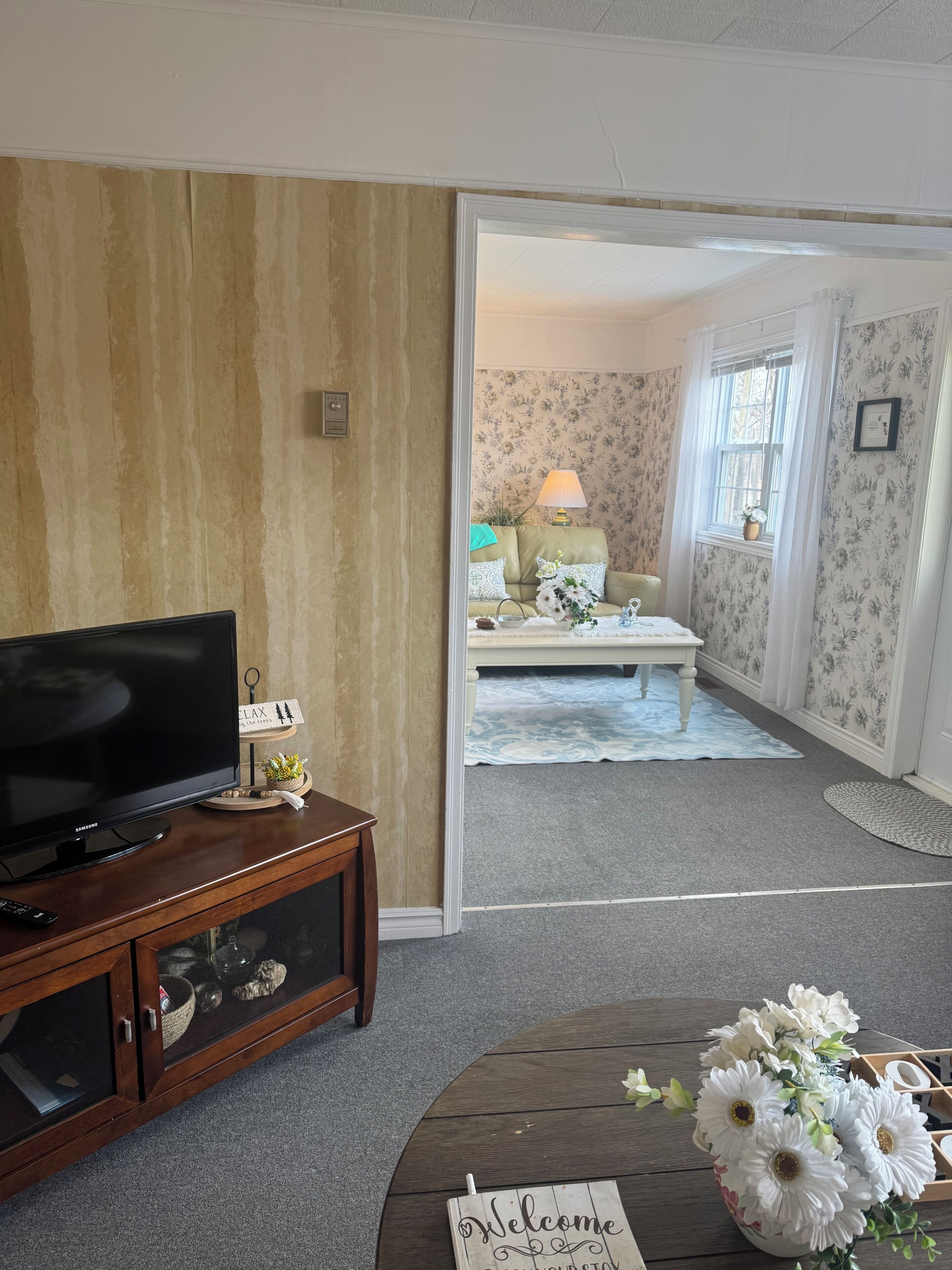 Fernseher