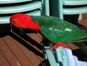 Imagen sin descripción, 5 de 7, botón