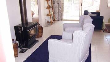 Fernseher, Kamin, DVD-Player, Videothek