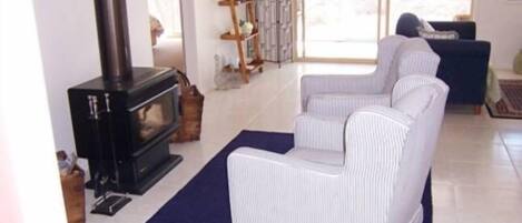 TV, fireplace, DVD player, video library