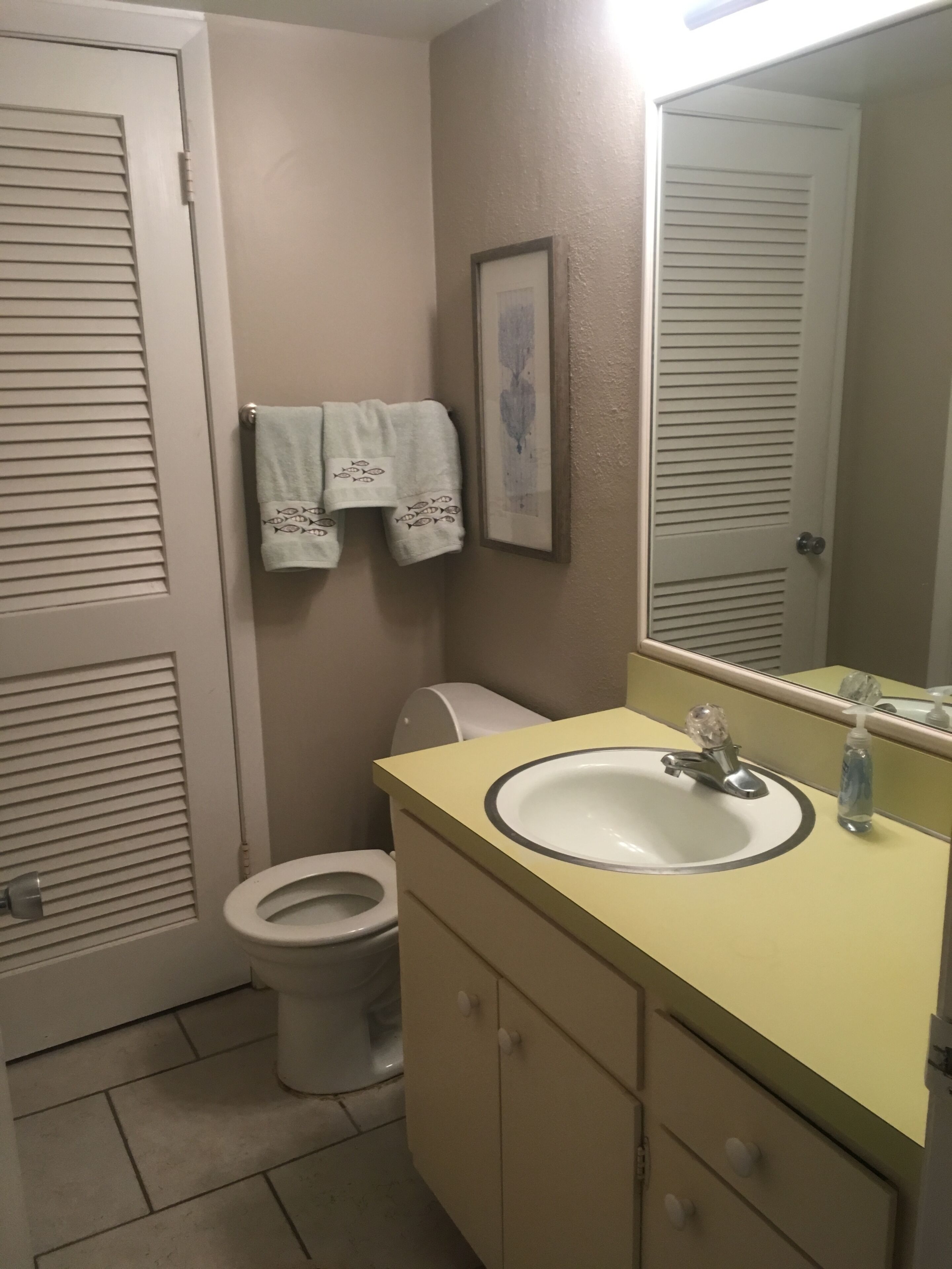 Une salle de bain équipée de toilettes, d’un lavabo, d’un miroir et d’un porte-serviettes.