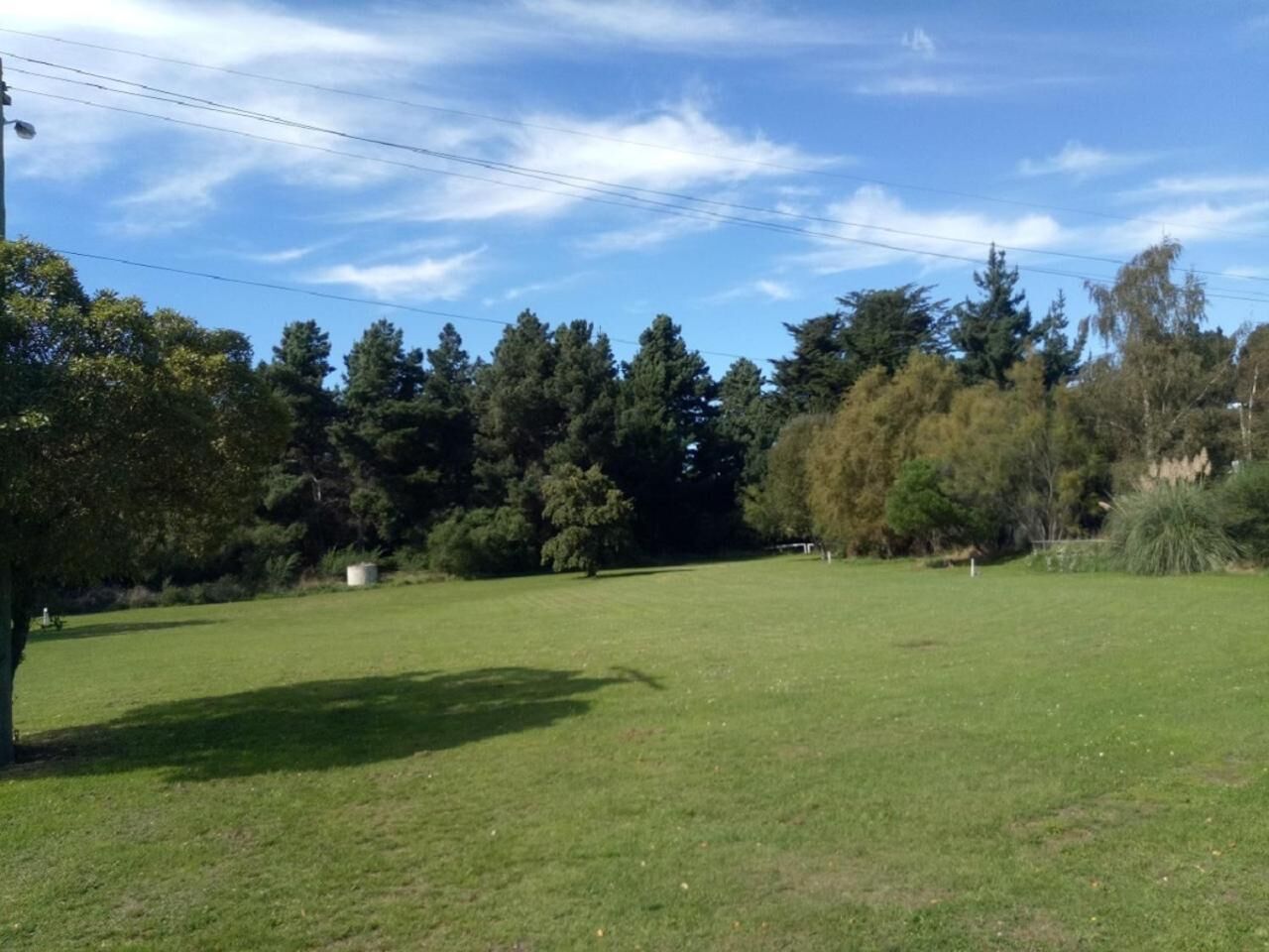 A grassy field with trees and a clear sky.
