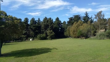 A grassy field with trees and a clear sky.