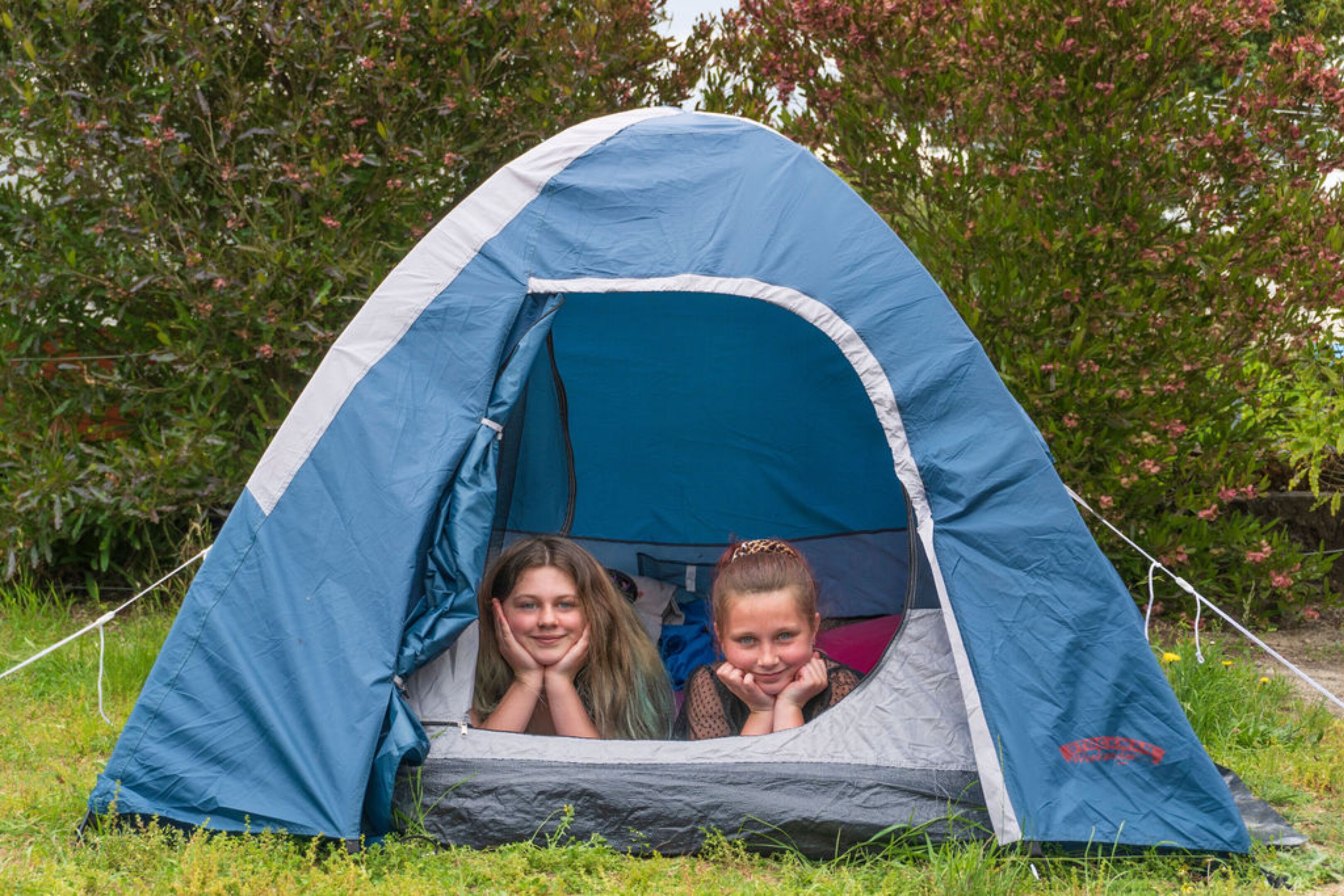 A blue tent with two children inside, surrounded by greenery.