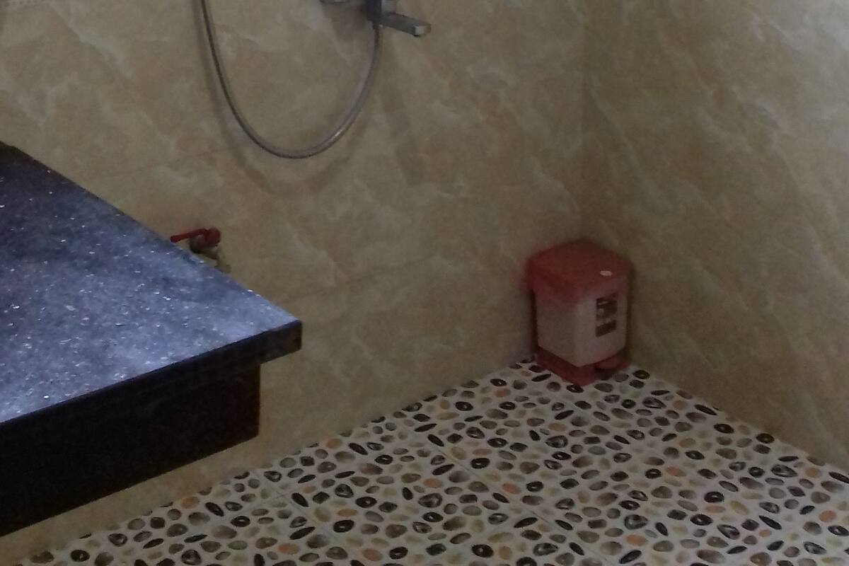 Shower, free toiletries, hair dryer, slippers