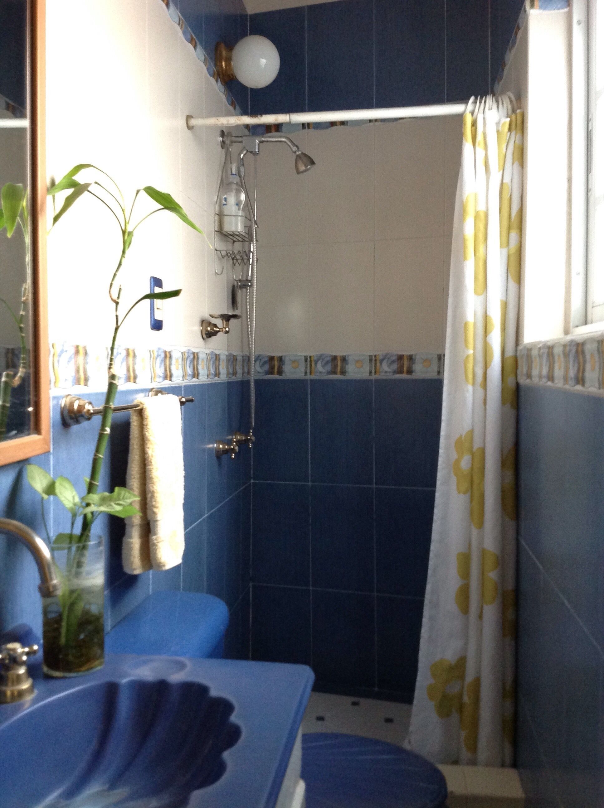 Combined shower/tub, hair dryer, towels, soap