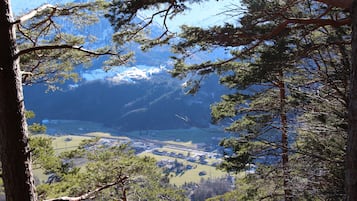 A mountainous landscape with pine trees and a valley below.