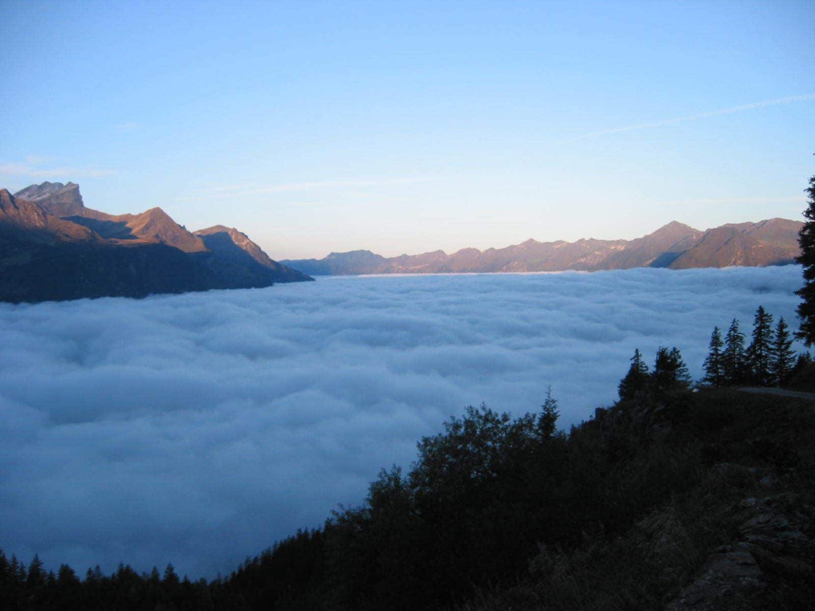 single room, 1 single bed, non smoking | view from room