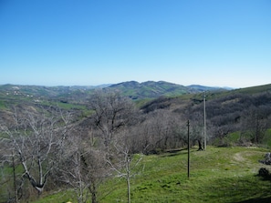 View from room