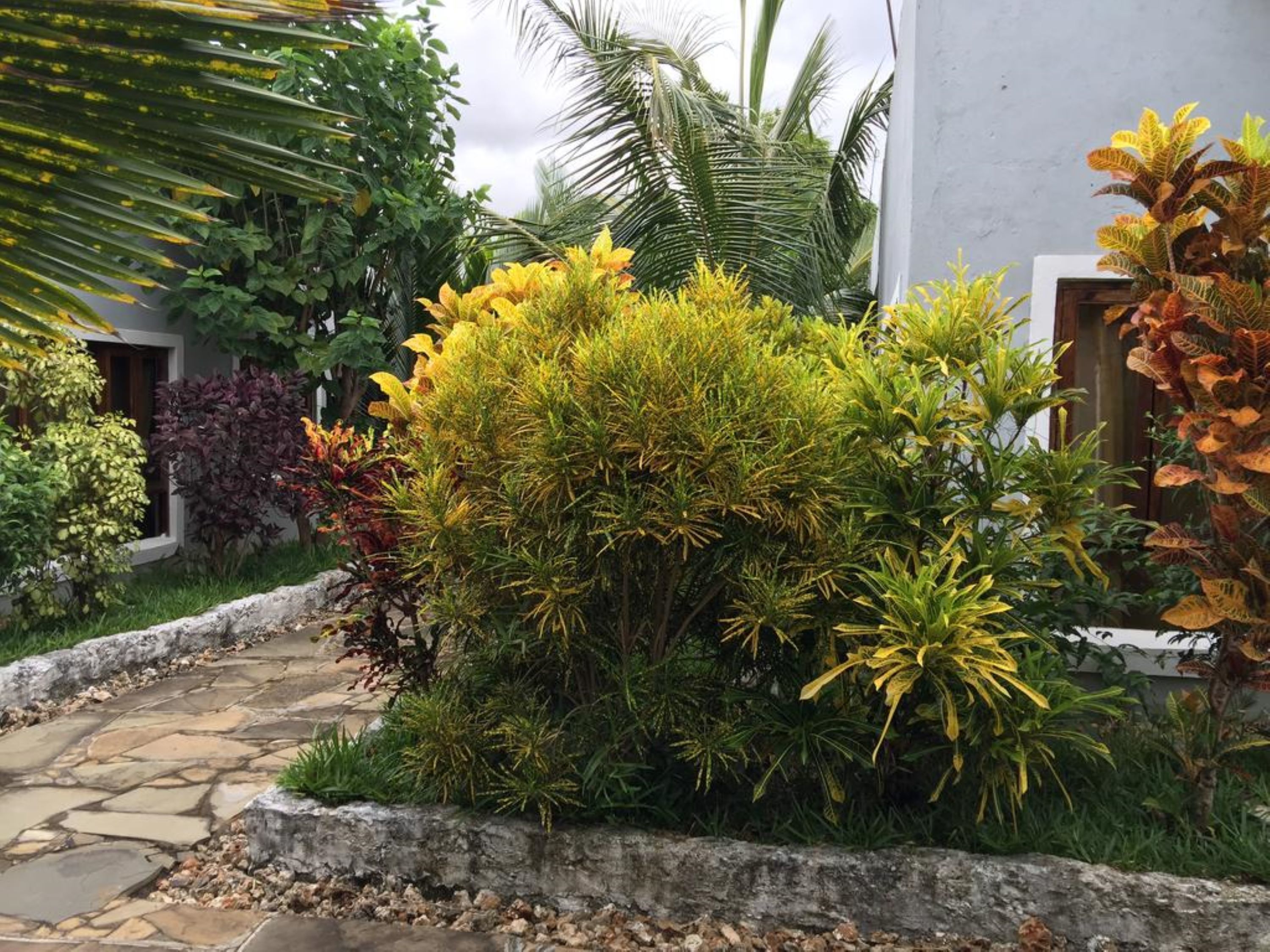 Un sendero de piedra que conduce a un edificio blanco con un jardín con arbustos y plantas variadas.