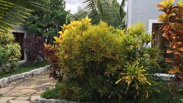 Un sendero de piedra que conduce a un edificio blanco con un jardín con arbustos y plantas variadas.