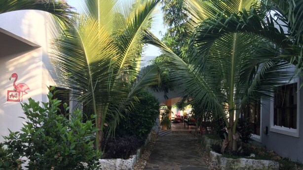 A stone pathway leading to a building with a white exterior and a flamingo sign. - Ritam Getaways (Tiwi)