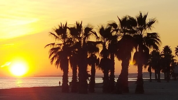 Ein Strand mit gegen einen Sonnenuntergang schattig abgebildeten Palmen.
