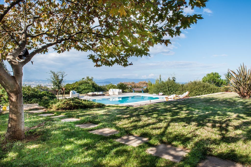 Un giardino con piscina, un albero e vista sulla città.