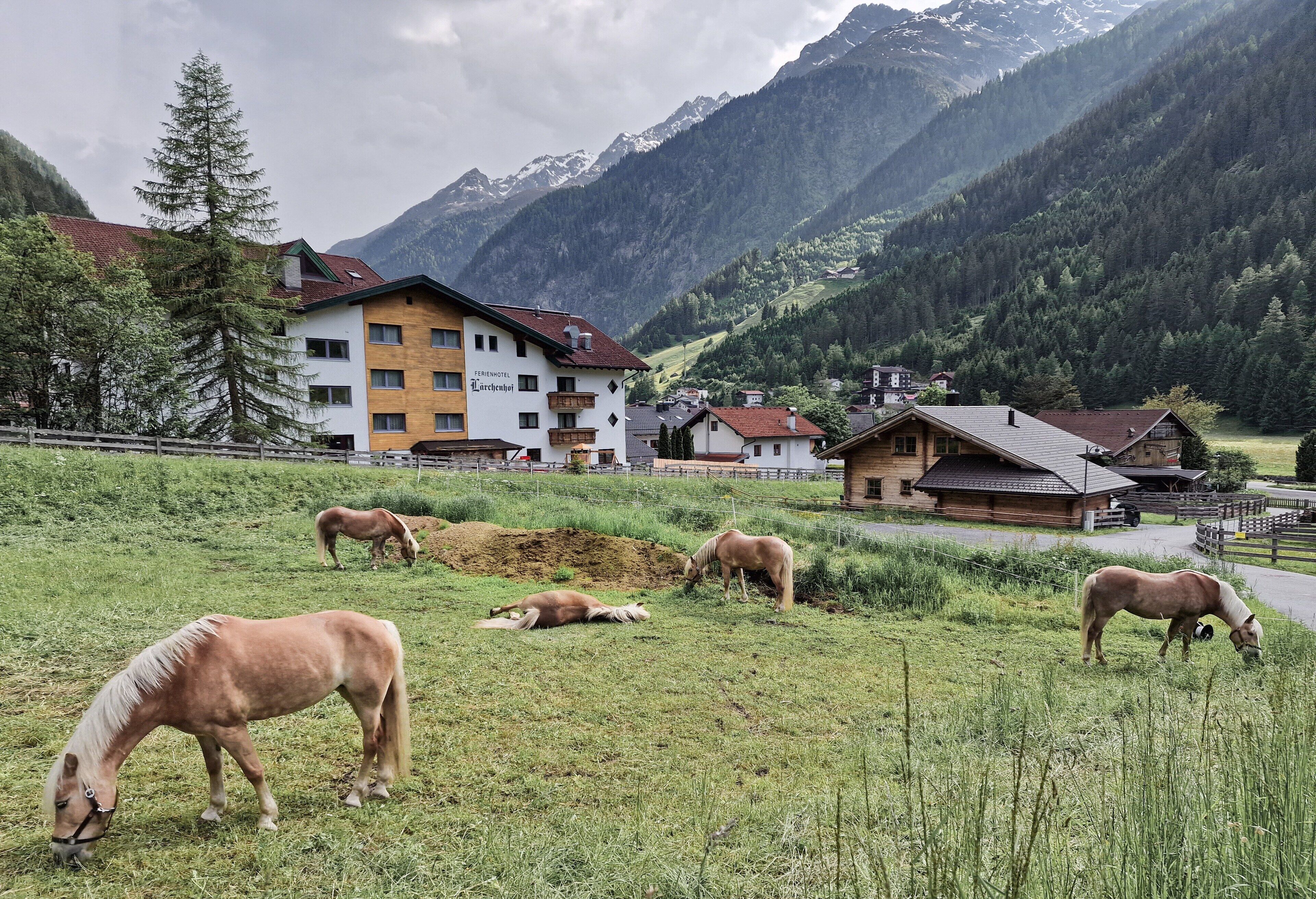 Ländliche Umgebung mit einem Hotel, weidenden Pferden und Bergen im Hintergrund.