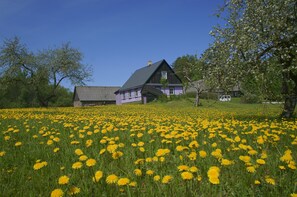 Property grounds - ¨BaltinKrogs¨rural tourism in Latvia (Ilūkstes novads)