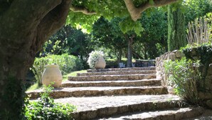 A stone staircase leading up to a garden area with a large tree overhead.