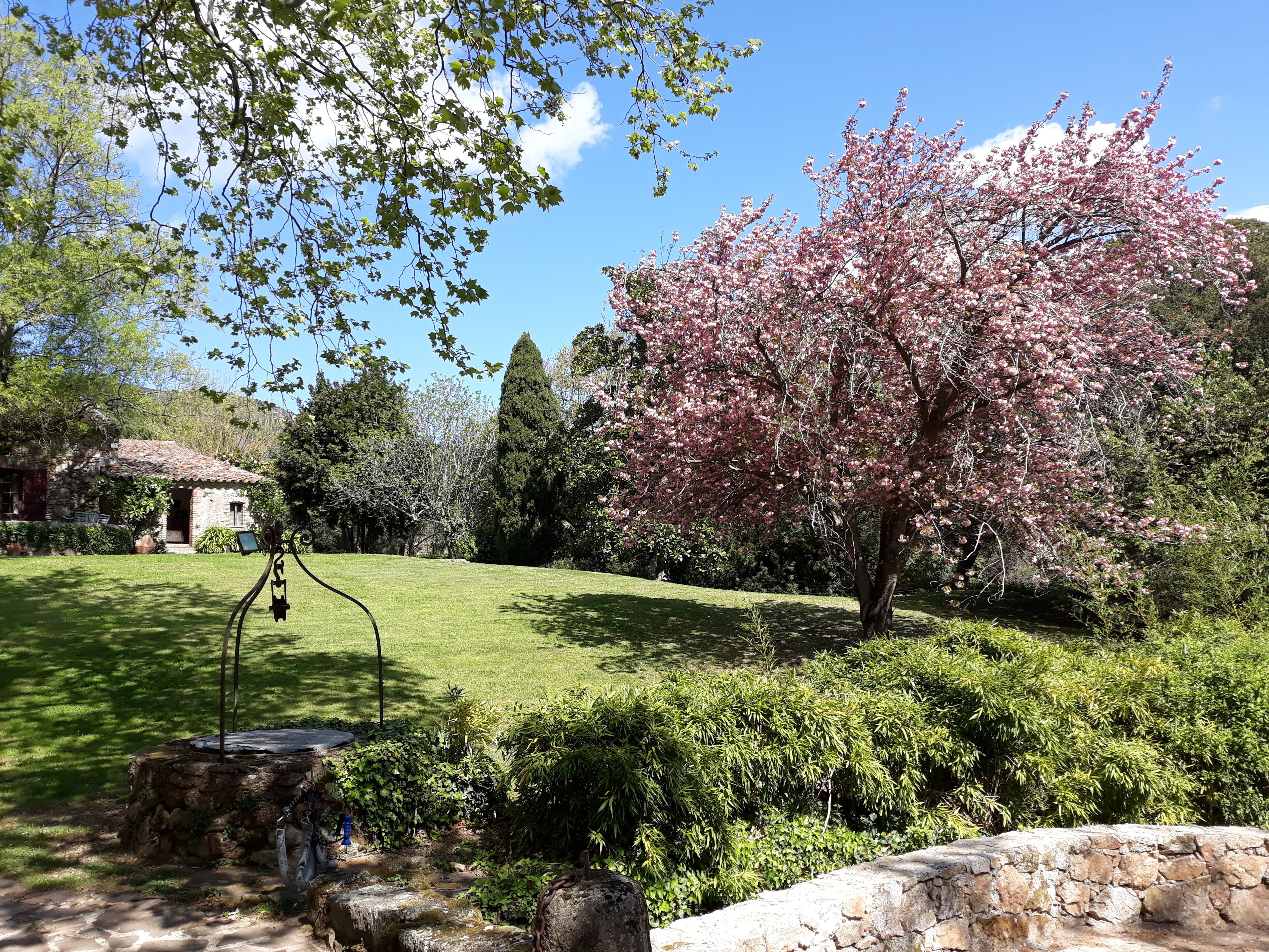 A stone house with a tiled roof, surrounded by a well-maintained garden with a variety of trees and shrubs.