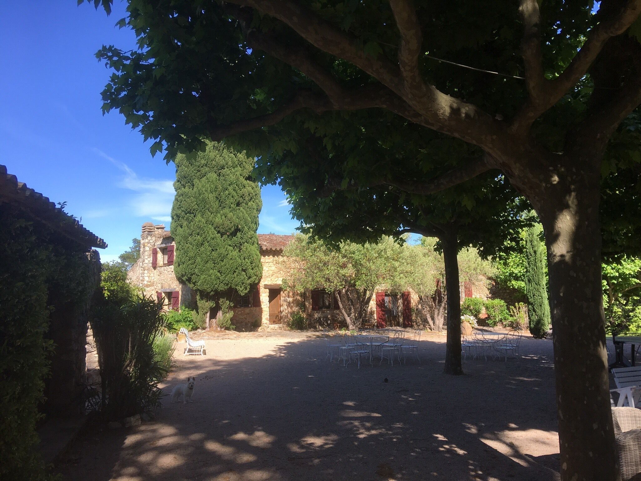 Une cour avec un bâtiment en pierre, un grand arbre et des sièges extérieurs.
