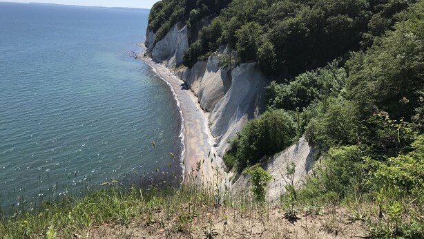Un paisaje costero con una playa arenosa, acantilados rocosos y abundante vegetación.