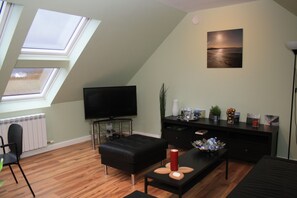 TV, fireplace, DVD player, books