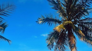 A beach with a wooden gazebo, palm trees, and a sandy shore. - Hotel Villa Malindi (Malindi)