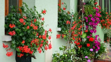 DĂ©tail de lâextĂ©rieur