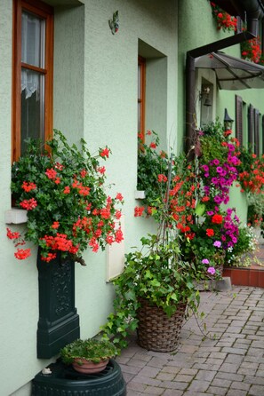 Een gebouw met groene wanden, een raam met houten kader en een bloempot met rode bloemen.