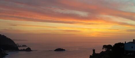 Näkymä rannalle/valtamerelle