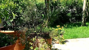 Ein Gartenbereich mit Blumentöpfen und einem gepflasterten Weg mit Inschriften.