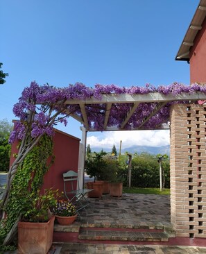 A covered patio area with a pergola adorned with purple flowers, potted plants, and a brick wall. - B&B Le Stagioni (Loreto Aprutino)