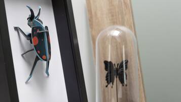 2 habitaciones, tabla de planchar con plancha y wifi gratis