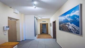 Design Apartment, 1 King Bed, City View | Iron/ironing board, free WiFi