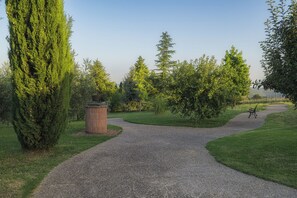 Property grounds - CASAMORENA The luxury of silence: swimming pool, relaxation, nature, privacy (Montegabbione)
