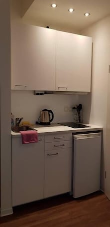 Mini-fridge, microwave, stovetop, electric kettle. Apart- Hotel Kick