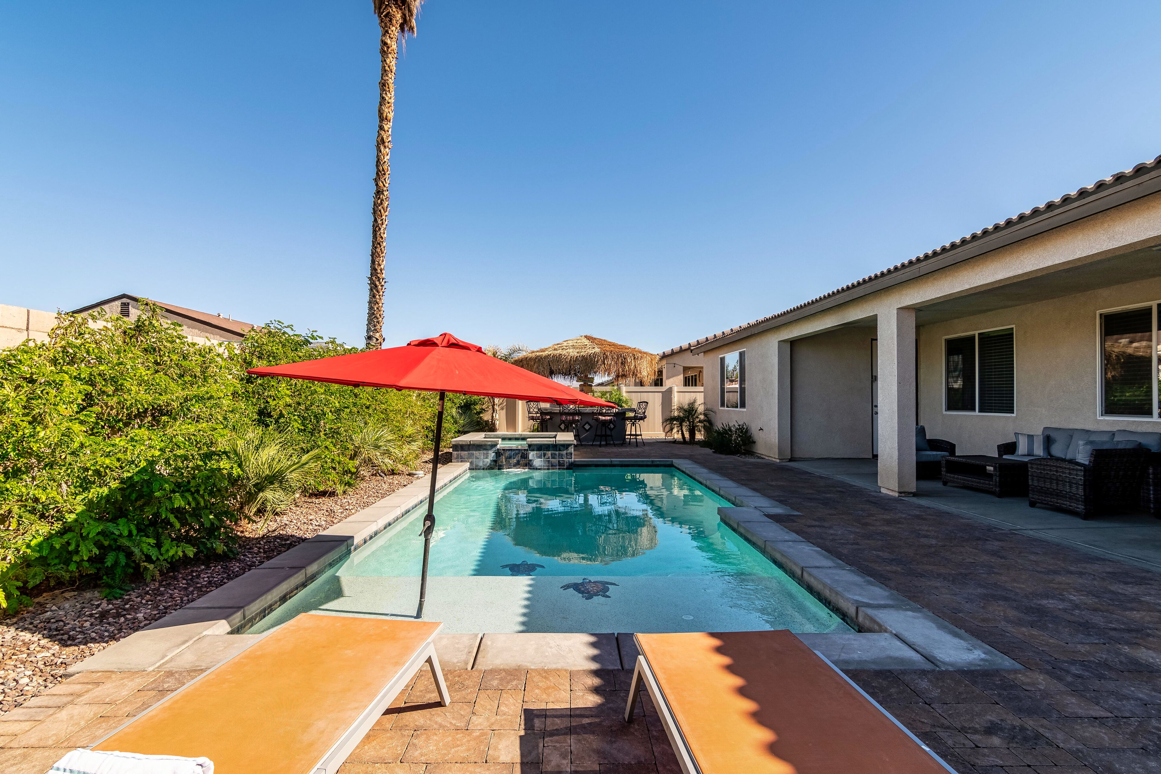 Tropical Oasis in Coachella!