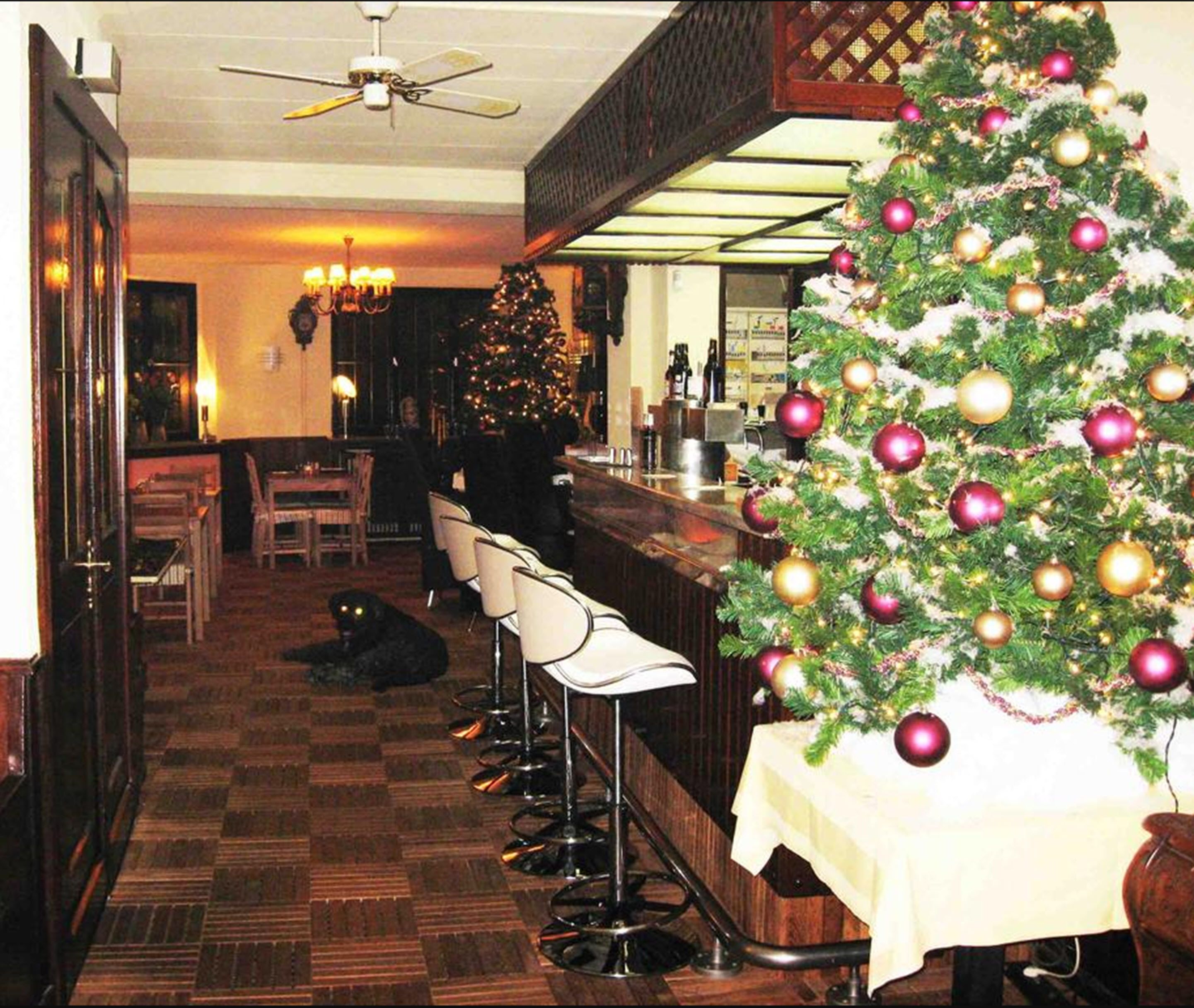 Bar (på overnatningsstedet)