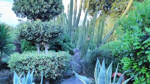 Un jardin où l’on trouve différentes espèces de plantes, notamment des cactus, et qui est entouré d’une clôture en bois.