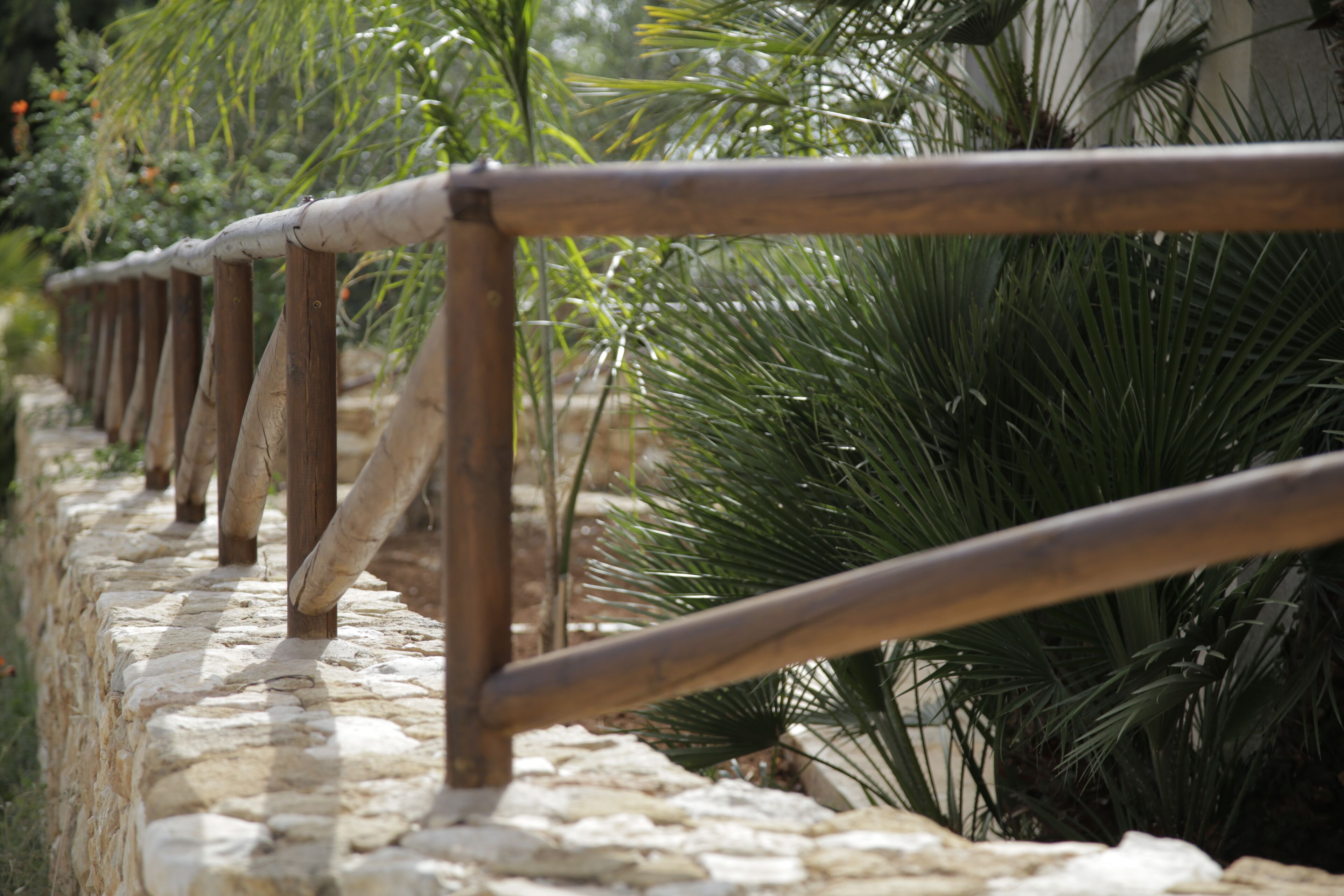 Parco della struttura