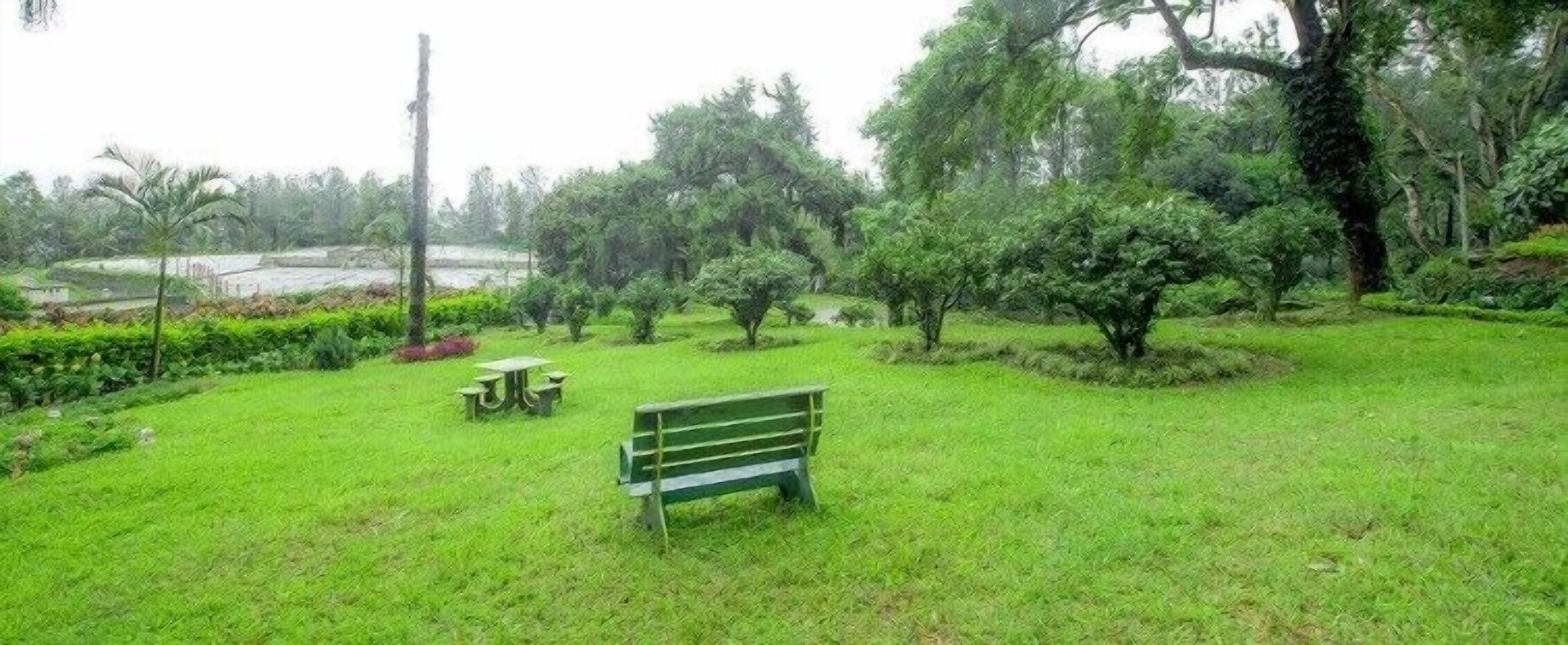 En græsplæde med en bænk og et picnicbord.